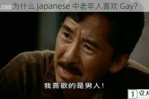 为什么 Japanese 中老年人喜欢 Gay？