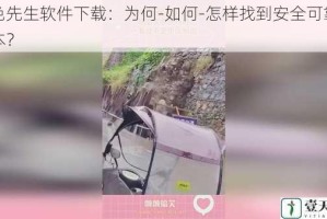 好色先生软件下载：为何-如何-怎样找到安全可靠的版本？