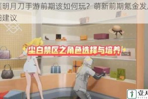 天涯明月刀手游前期该如何玩？萌新前期氪金发展的详细建议