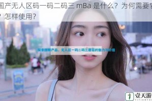 国产无人区码一码二码三 mBa 是什么？为何需要它？怎样使用？