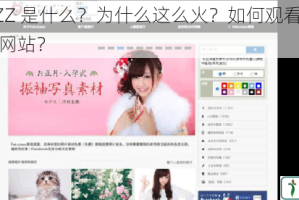 日本 JJZZ 是什么？为什么这么火？如何观看？有哪些相关网站？