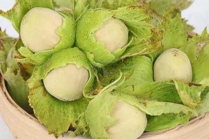 嫩嫩的嗓音，榛子般的口感，是怎么做到的？