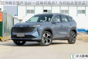 亚洲精品国产 SUV 一区有何亮点？为何如此受欢迎？