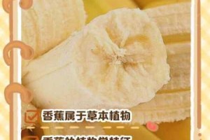 香蕉 app 成人版下载：为什么需要？如何获取？有风险吗？