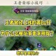 王者荣耀黄BUFF效果加成属性详解与刷新时间全面介绍