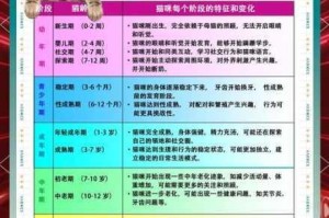 萌猫旅馆经营互动攻略全解析 新手必看剧情解锁与猫咪养成技巧指南