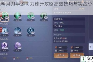 天涯明月刀手游功力速升攻略高效技巧与实战心得全解析