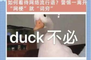 外国 HDDH 69 是什么？为什么它会成为网络热词？如何正确看待它？