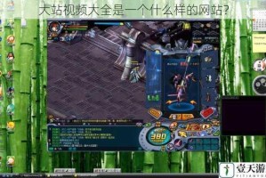 大站视频大全是一个什么样的网站？