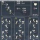 光遇冥龙发型获取攻略雨林冒险挑战与先祖任务技巧详解