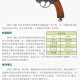 大冲锋生化版本全新枪、新地图及新套装详细解读与剖析