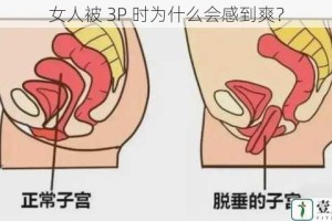 女人被 3P 时为什么会感到爽？
