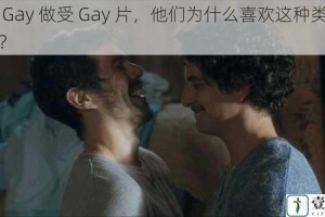 男同 Gay 做受 Gay 片，他们为什么喜欢这种类型的影片？