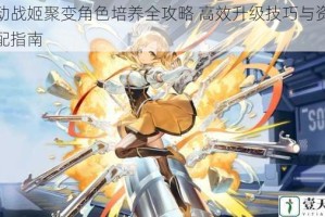 机动战姬聚变角色培养全攻略 高效升级技巧与资源分配指南