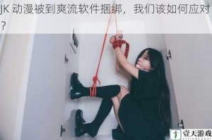 JK 动漫被到爽流软件捆绑，我们该如何应对？