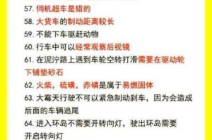 这个动物不正经第四关通关技巧详解快速过关方法一次掌握指南