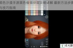 黑色沙漠手游黑色瘦猫获取攻略详解 最新方法步骤与技巧指南