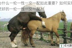 为什么一伦一性一交一配如此重要？如何实现更好的一伦一性一交一配？