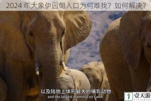 2024 年大象伊园甸入口为何难找？如何解决？