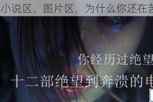 激情区、小说区、图片区，为什么你还在苦苦寻找？