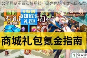 坎公骑冠剑重置石使用技巧及角色培养优先级推荐指南