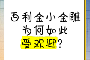 为什么这么受欢迎？