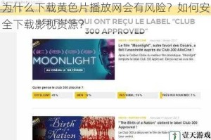 为什么下载黄色片播放网会有风险？如何安全下载影视资源？