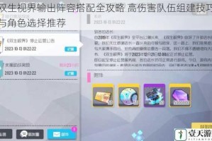 双生视界输出阵容搭配全攻略 高伤害队伍组建技巧与角色选择推荐
