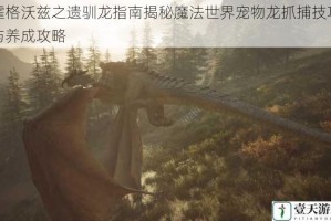 霍格沃兹之遗驯龙指南揭秘魔法世界宠物龙抓捕技巧与养成攻略