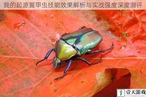 我的起源翼甲虫技能效果解析与实战强度深度测评