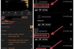 91Porn 成人精品资源为何如此受欢迎？