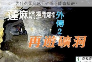 为什么国产麻无矿码不能直接进？