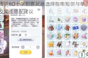 仙境传说RO十字刺客武器选择指南短剑与拳刃优劣解析及实战搭配建议