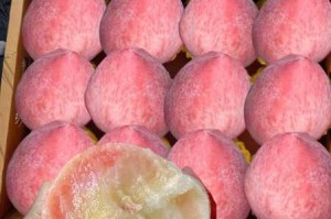 为什么找不到 91 上的精品国产蜜挑？如何解决这个问题？