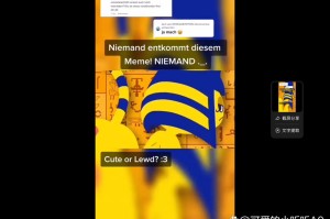 8x8ⅹ人成视频免费入口是真的吗？为何我找不到？
