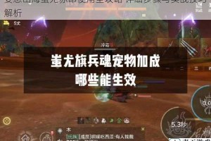 妄想山海蚩尤赤印使用全攻略 详细步骤与实战技巧解析