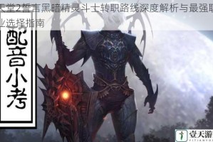 天堂2誓言黑暗精灵斗士转职路线深度解析与最强职业选择指南