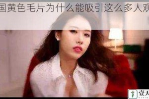 韩国黄色毛片为什么能吸引这么多人观看？