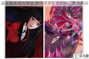 暗夜魅影辉光降临 绯色月华下交织的刃舞与羁绊