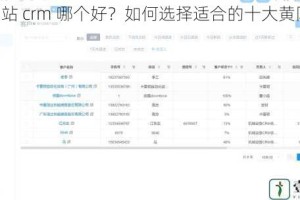黄冈网站 crm 哪个好？如何选择适合的十大黄冈网站 crm？