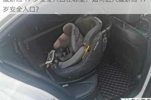 藏娇阁 17 岁安全入口在哪里？如何进入藏娇阁 17 岁安全入口？