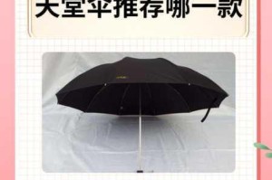 为什么天堂伞 33188 如此受欢迎？它有什么独特之处？如何选择适合自己的天堂伞 33188？