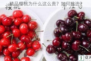 精品樱桃为什么这么贵？如何挑选？