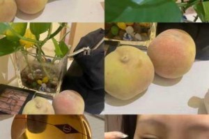为什么蜜 w 桃 w 传媒众 w 众 w 乐如此受欢迎？