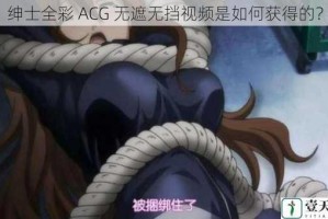 绅士全彩 ACG 无遮无挡视频是如何获得的？