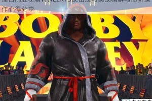 擂台制胜秘籍WWE2K15反击技巧实战精解与高阶操作心得分享