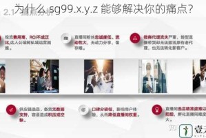 为什么 sg99.x.y.z 能够解决你的痛点？