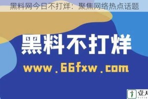 黑料网今日不打烊：聚焦网络热点话题