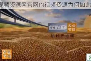 大地视频资源网官网的视频资源为何如此丰富？