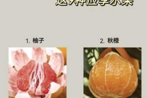 黄板蜜柚旧版本的种植方法是怎样的？